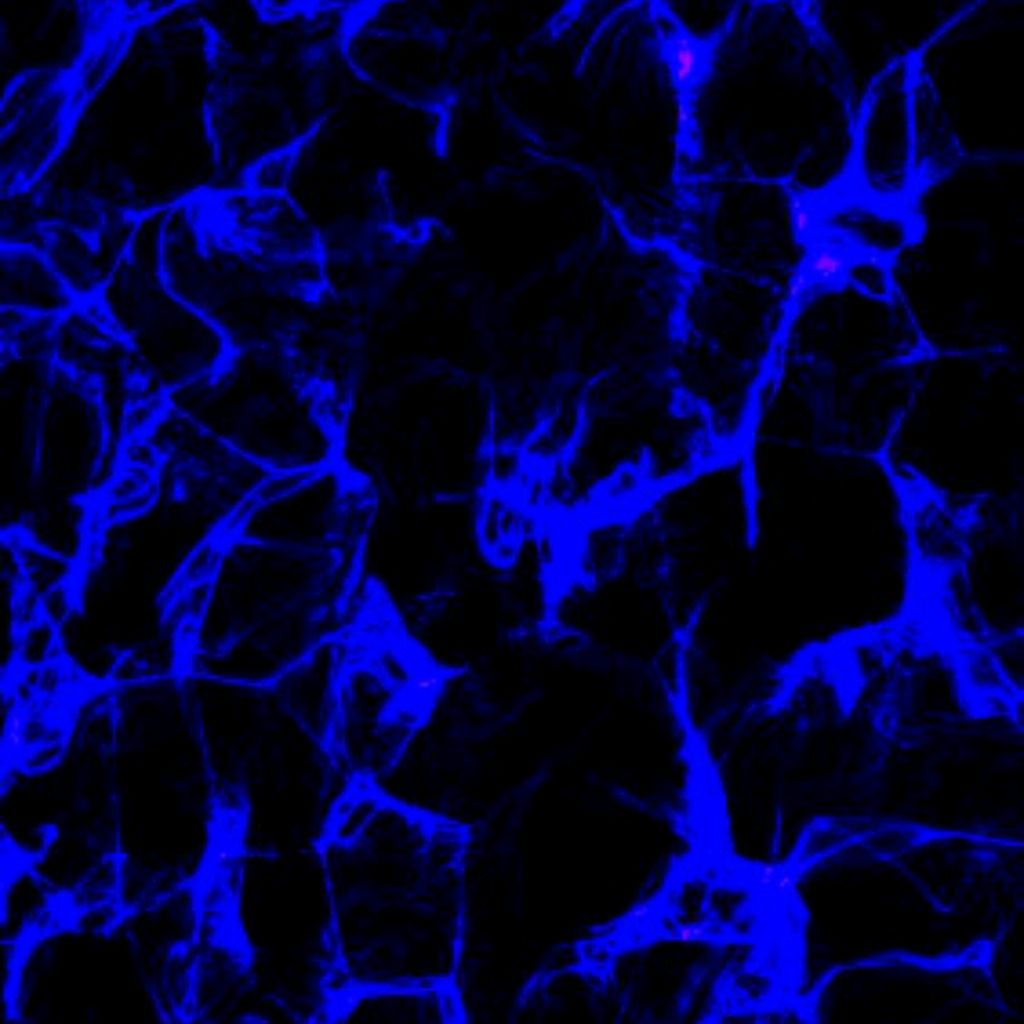 Иконка канала ...