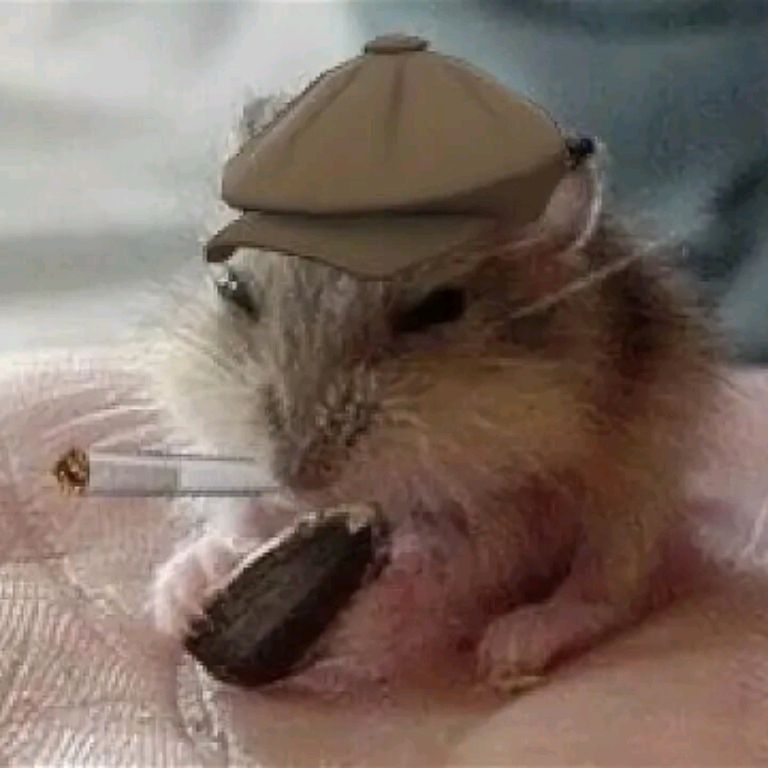 Иконка канала Грустный Хомяк 🐹