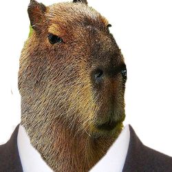 Иконка канала (Новости у капибары)