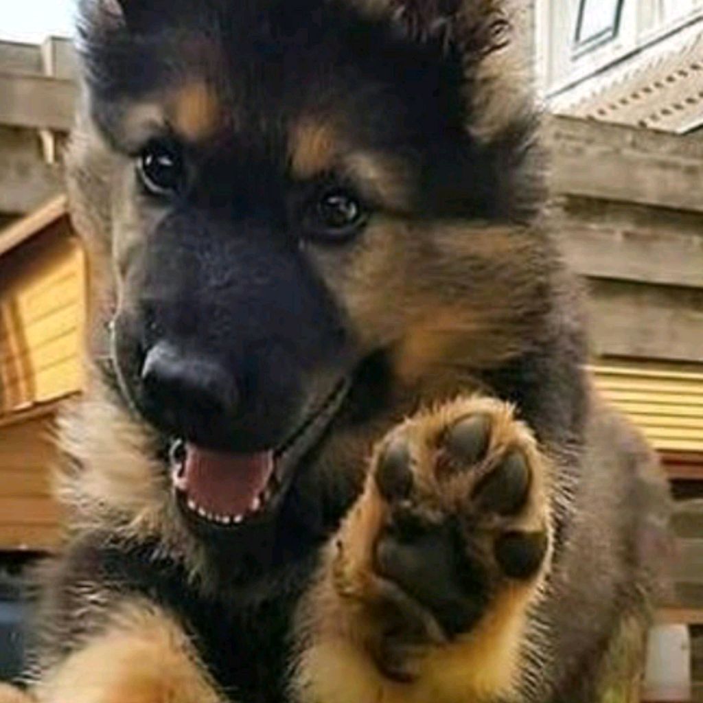 Иконка канала Alexsandr 51 RUS