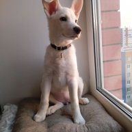 Иконка канала Провинциальная НеДоДачница и Герда