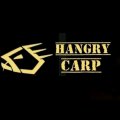 Иконка канала Hangry Carp 123🇷🇺
