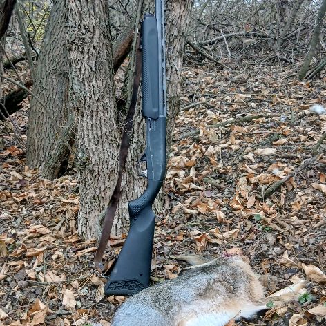 Иконка канала ВикТор "Хвост и Порох"  Мужской выходной