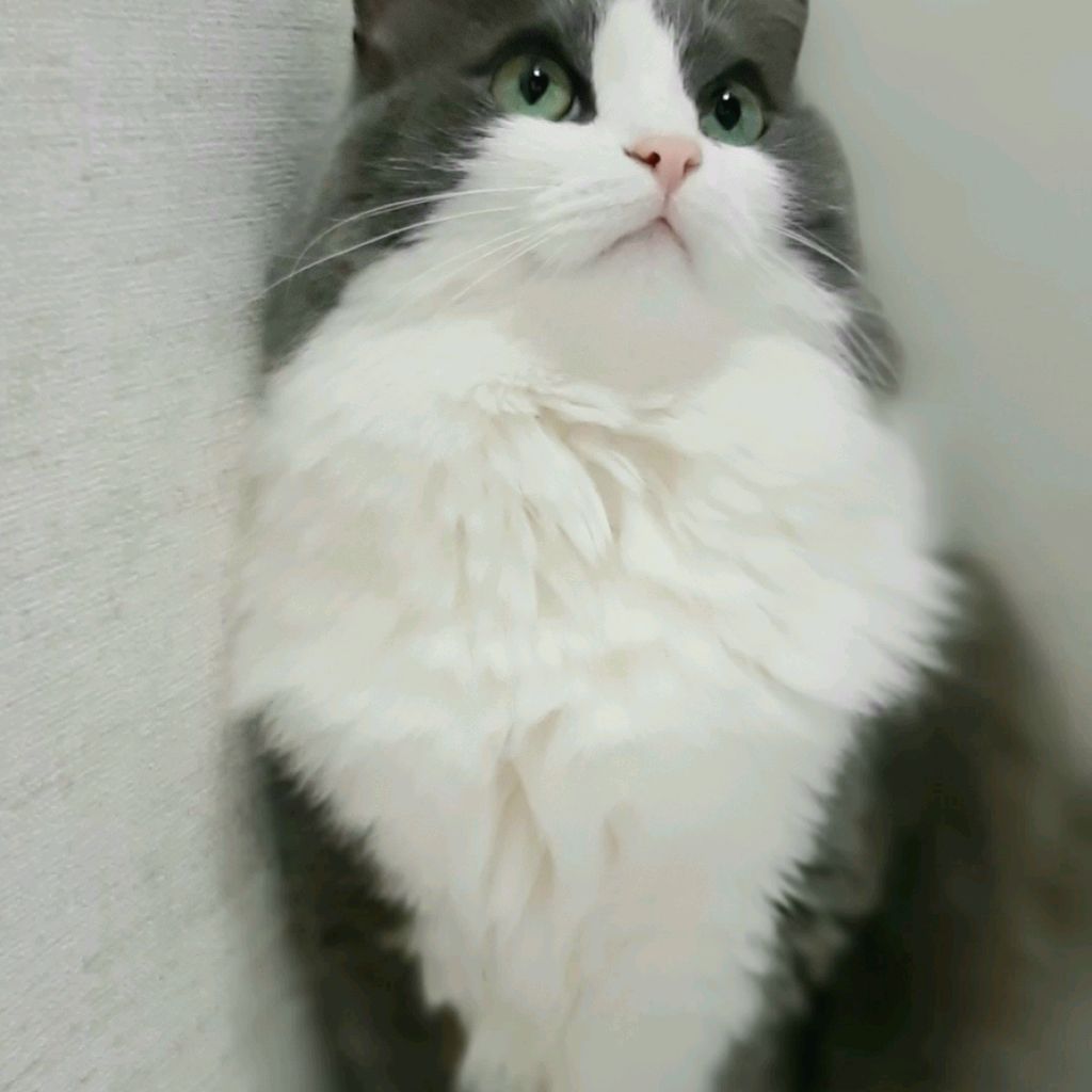 Иконка канала Александр Кузнецов**