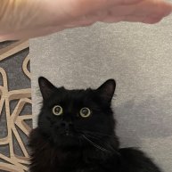 Иконка канала Жизнь Наташки и Коти