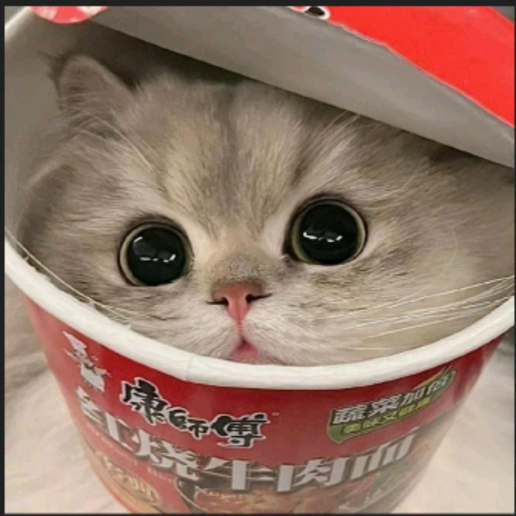 Иконка канала Liza67