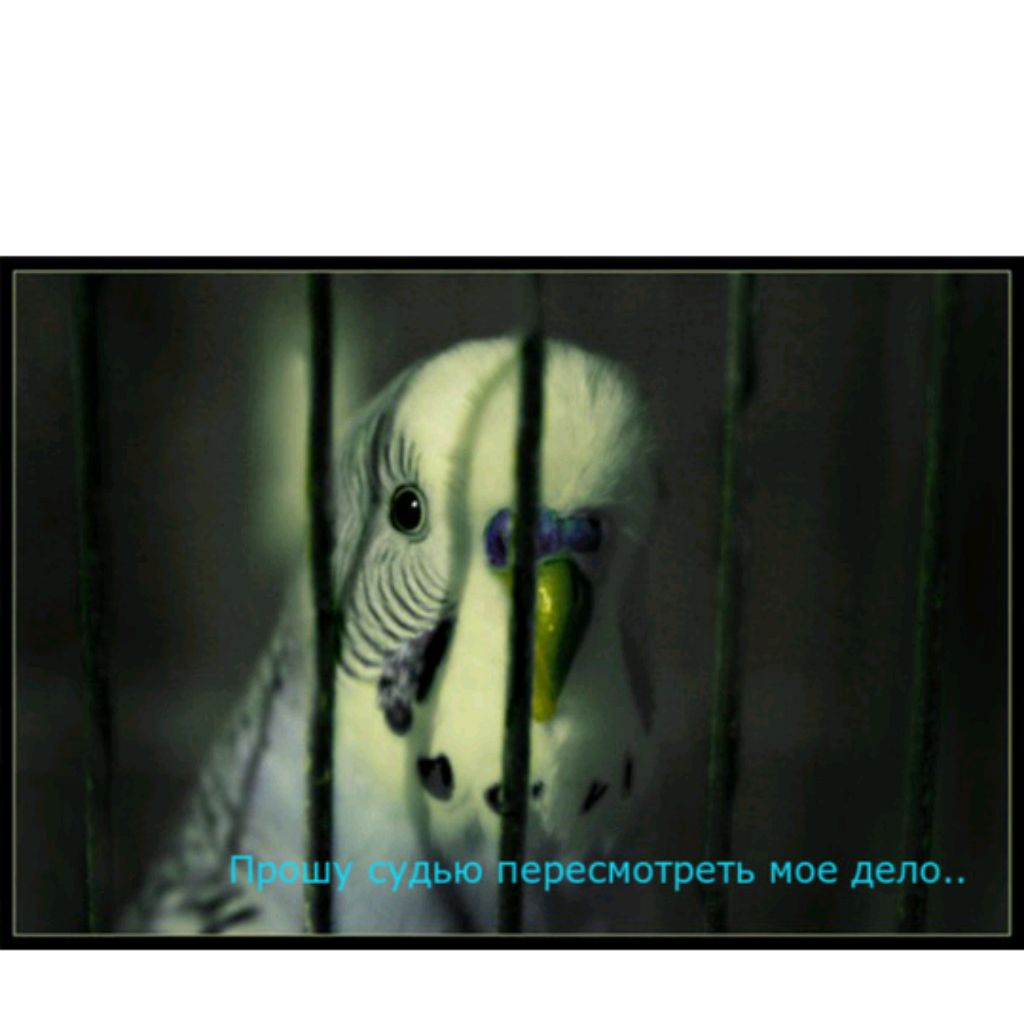 Иконка канала Призрачный Кеша