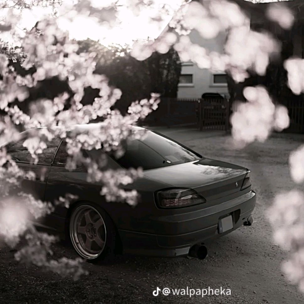 Иконка канала Nifa