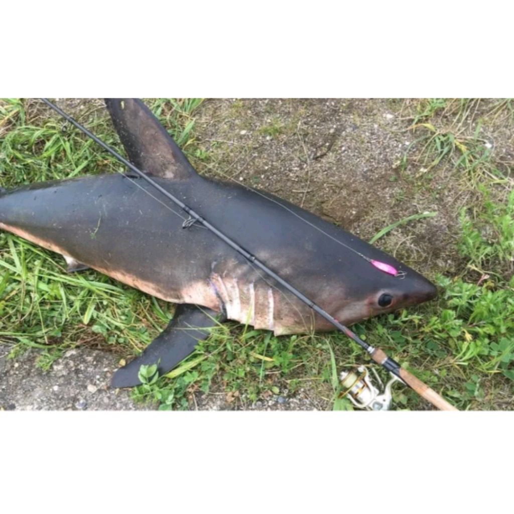 Иконка канала 👍