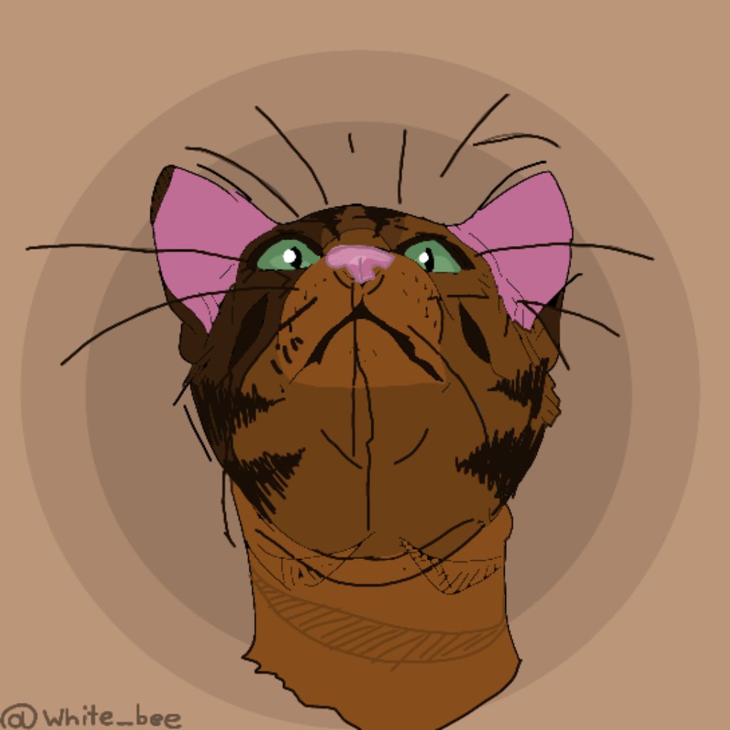 Иконка канала ¥𝕨𝕙𝕚𝕥𝕖 𝔹𝕖𝕖¥