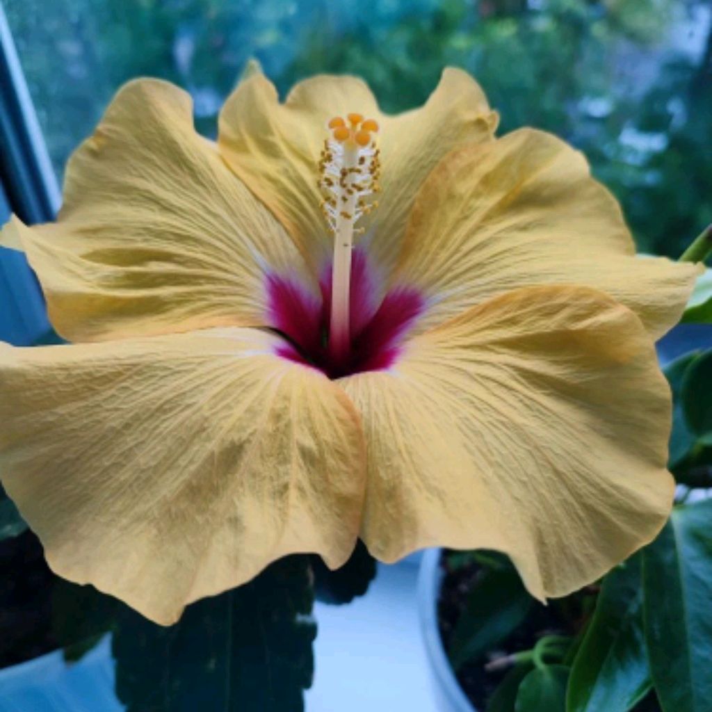 Иконка канала Ольга.Живые фотографии.