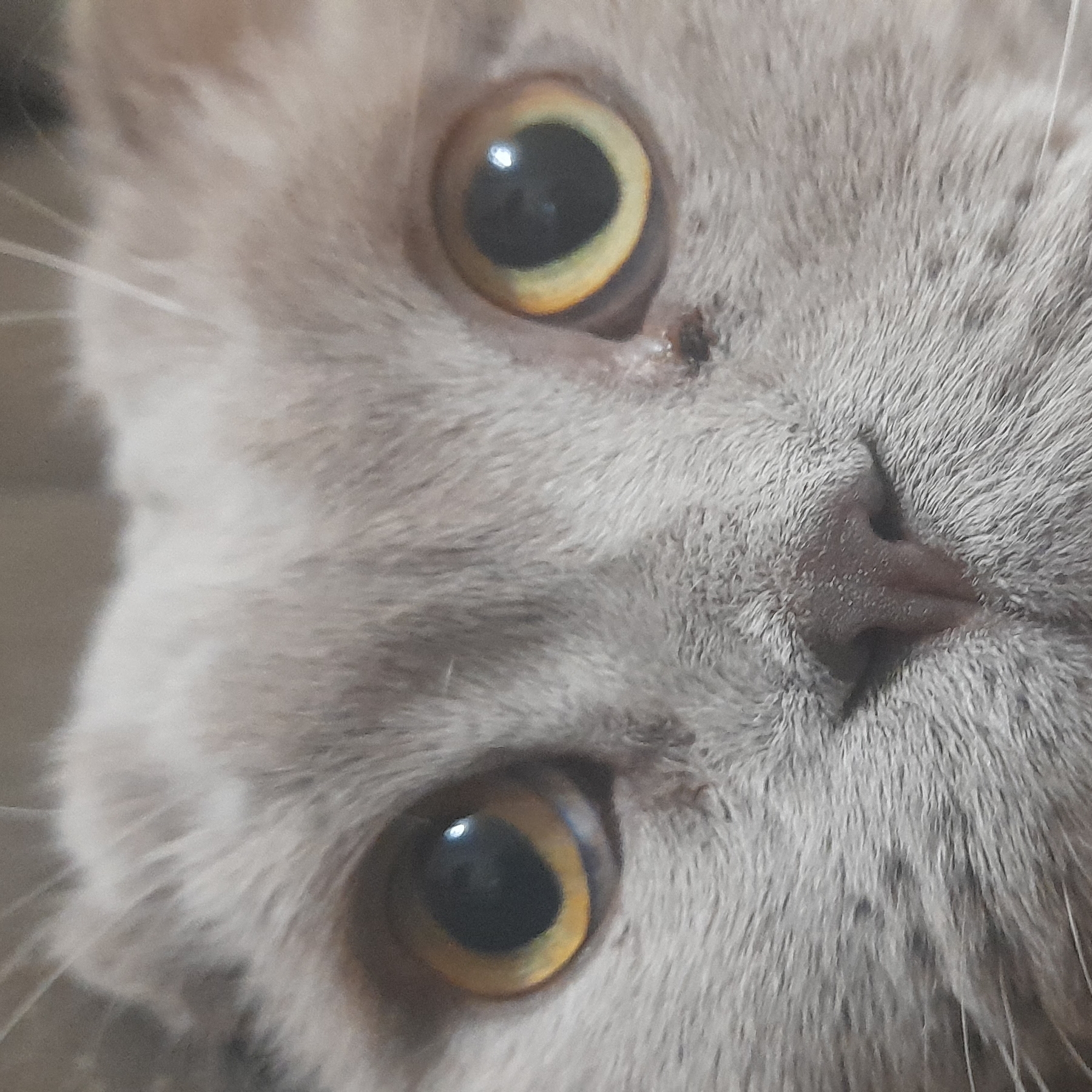 Иконка канала Ivanchela