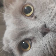 Иконка канала Ivanchela