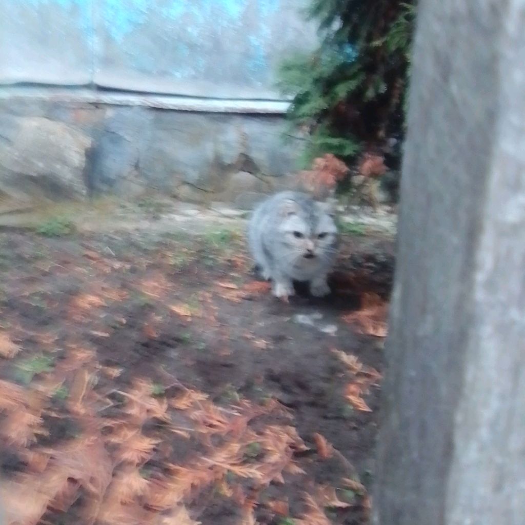 Иконка канала Только Реальная Жизнь Григорий