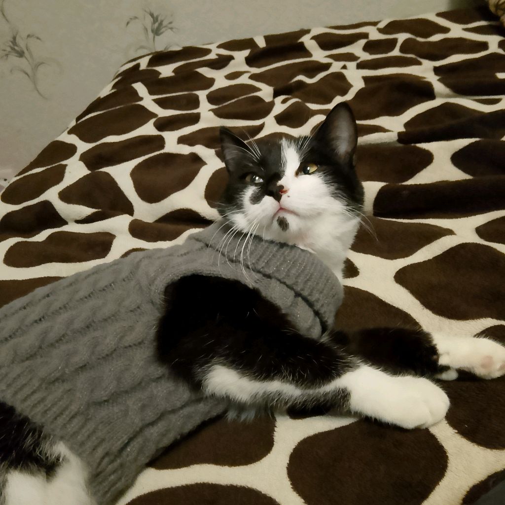 Иконка канала Юляша🥰💗🌺