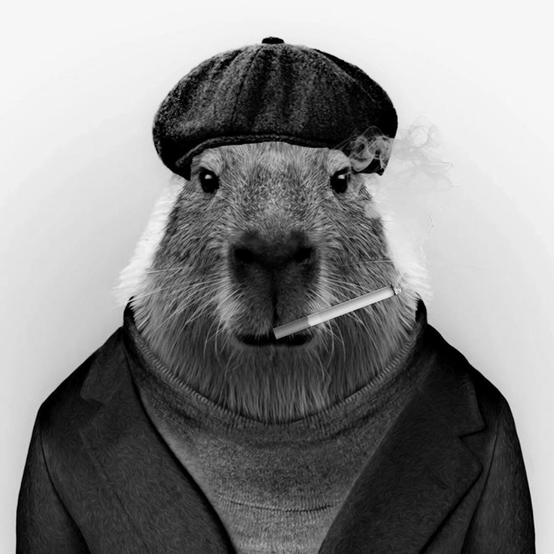 Иконка канала (Новости у капибары)