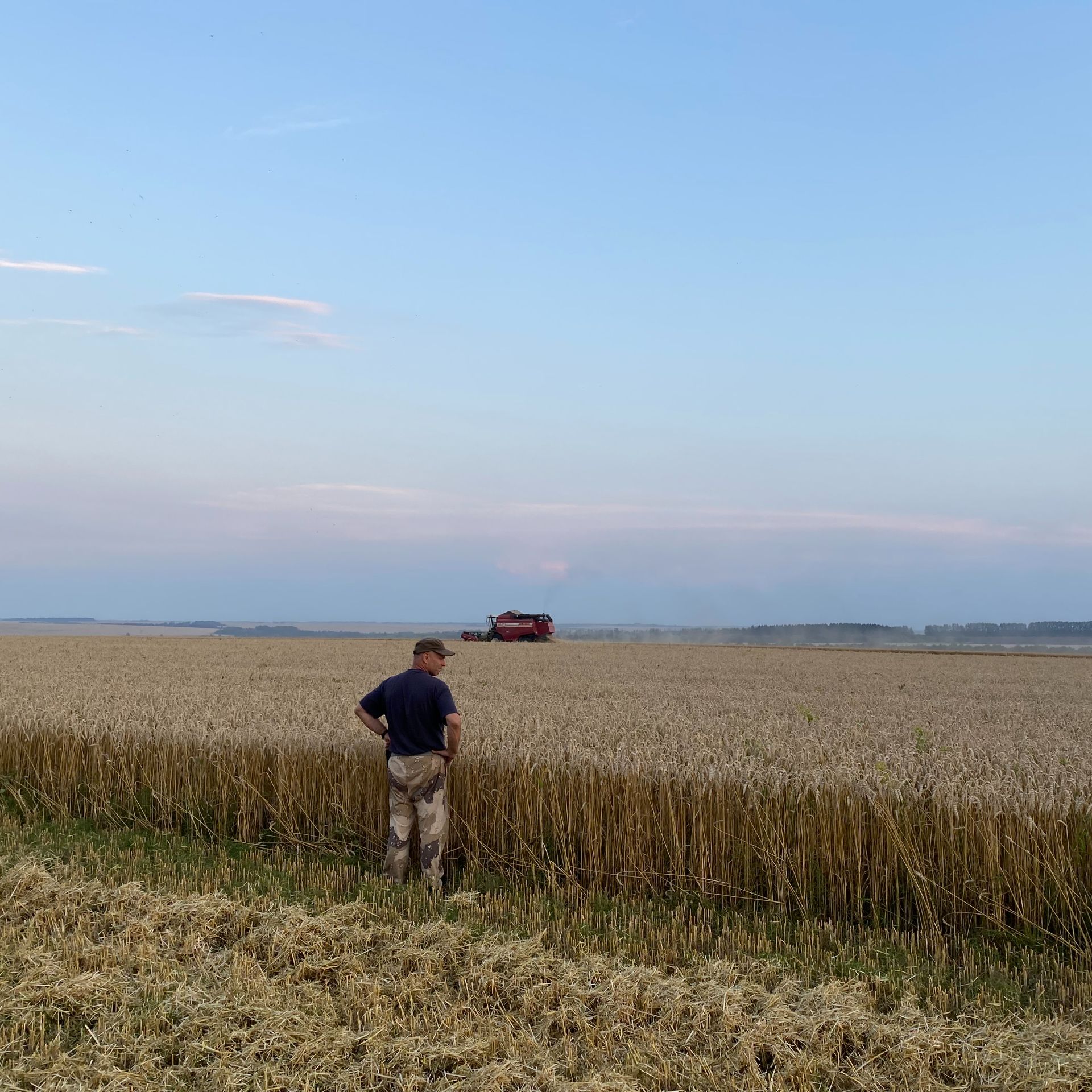 Иконка канала "Путь Жизни" - органический производитель, г. Орел