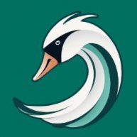 Иконка канала Swan'S