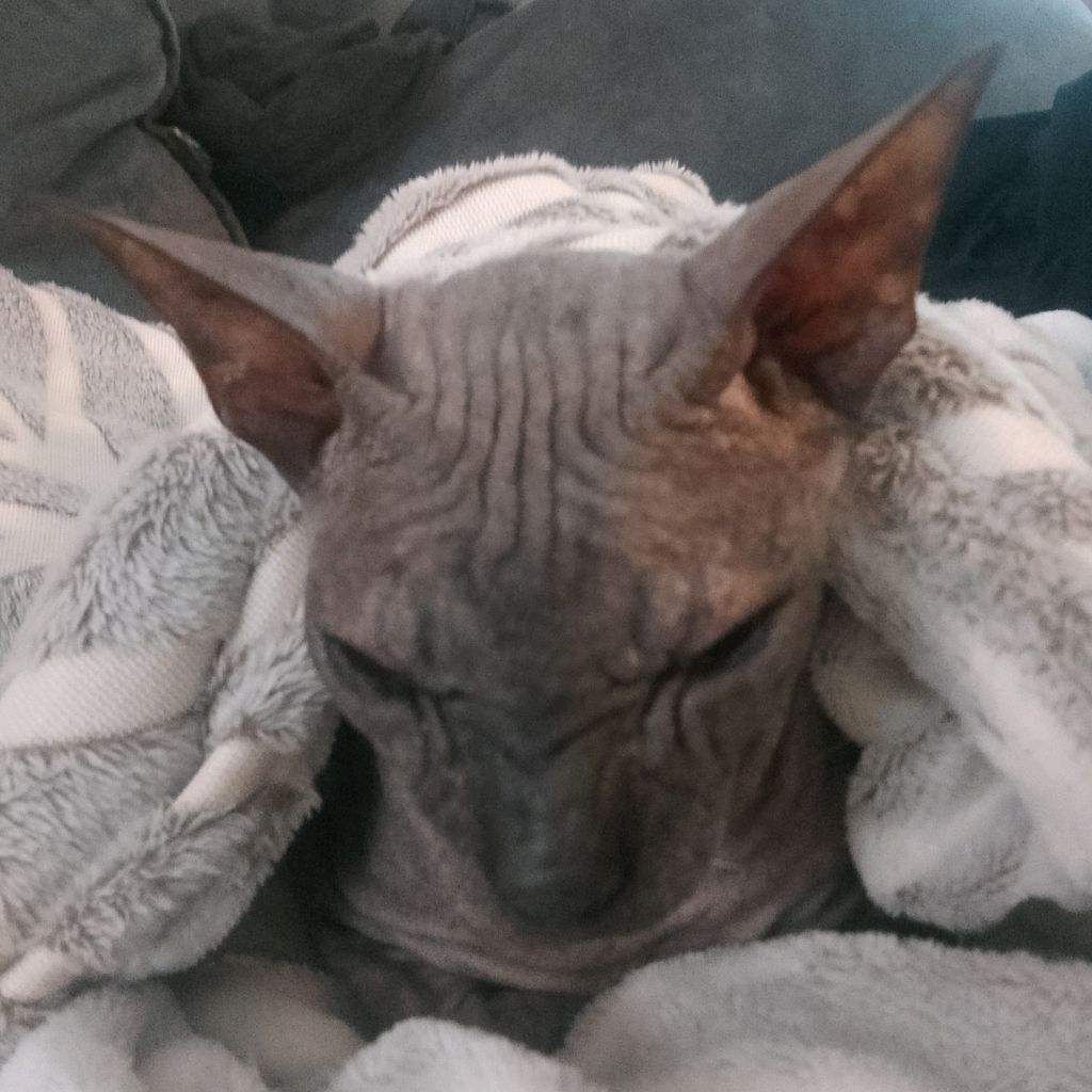 Иконка канала Шэрил777