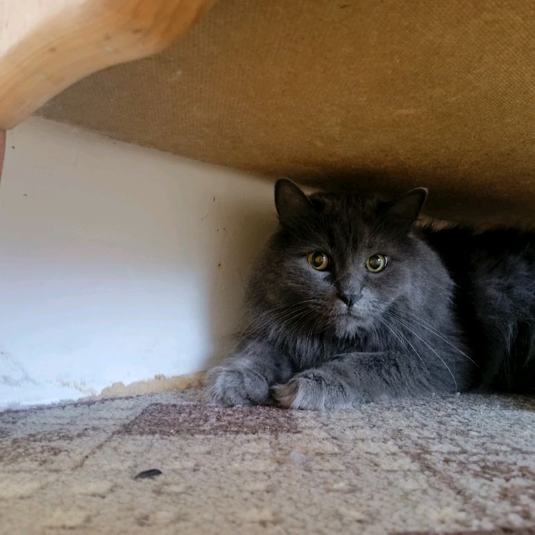 Иконка канала channel65791617_58