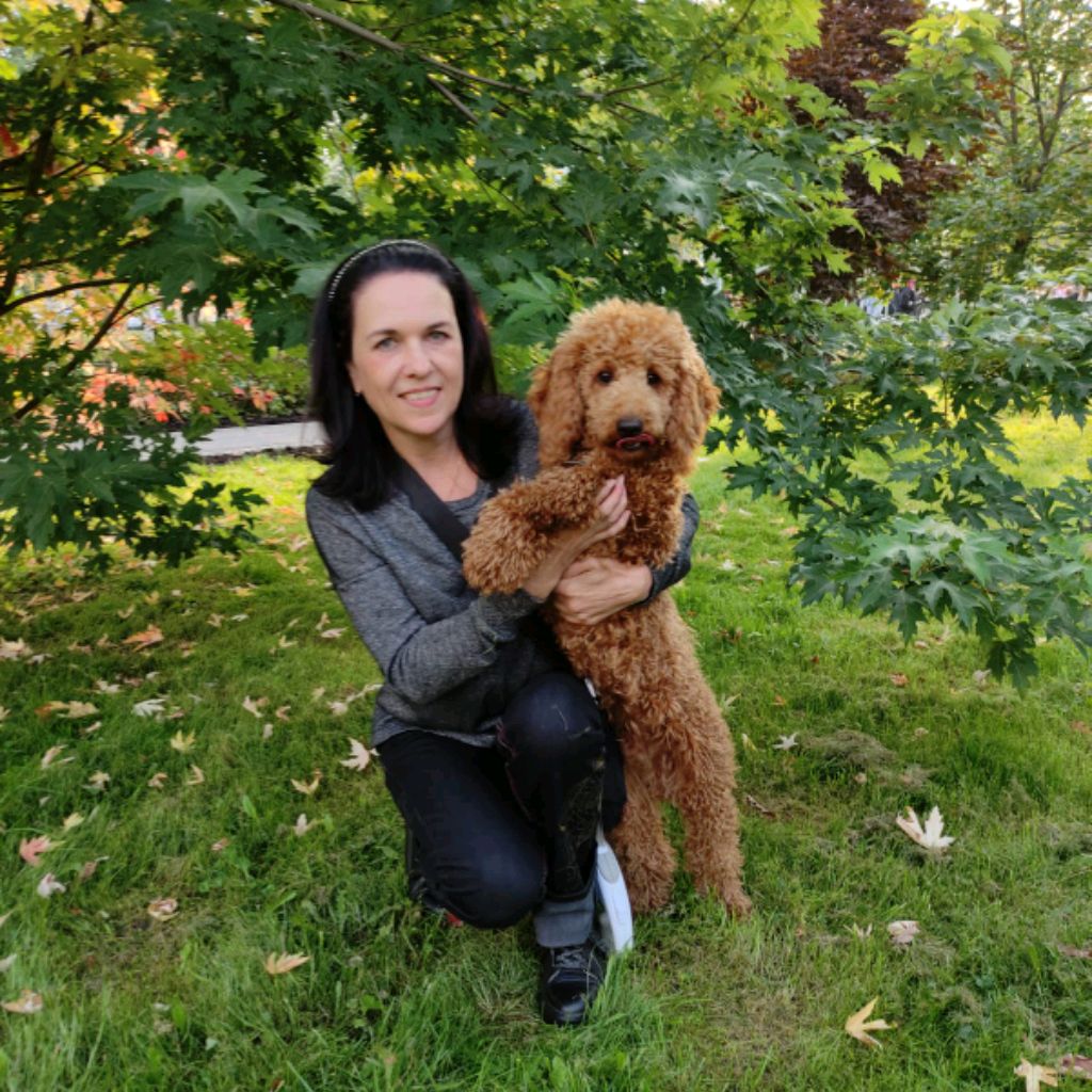 Иконка канала Я и мой Пудель ЛЕОН