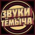Иконка канала ЗвукиТёмыча