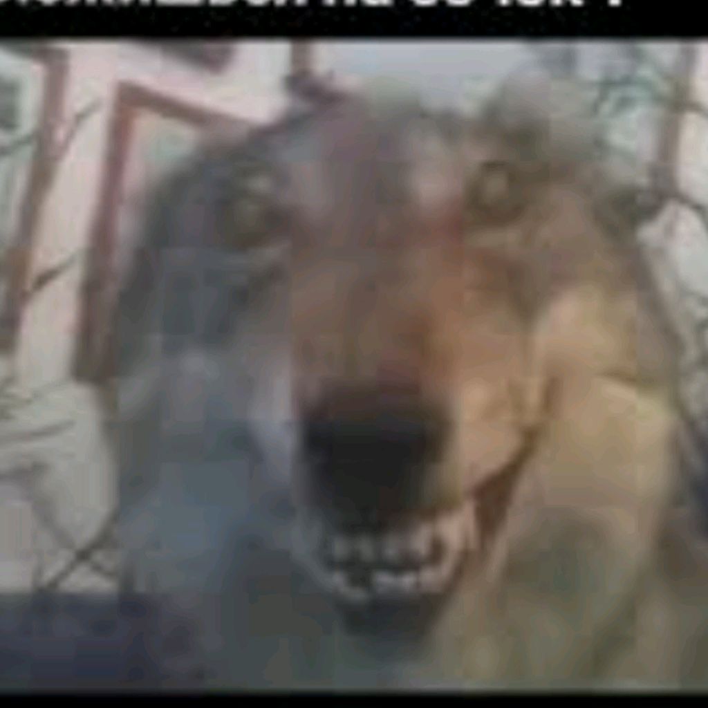 Иконка канала Kostyarbxx0