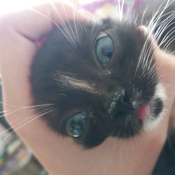 Иконка канала RoмаnesКО DelaeТ ВСЕ