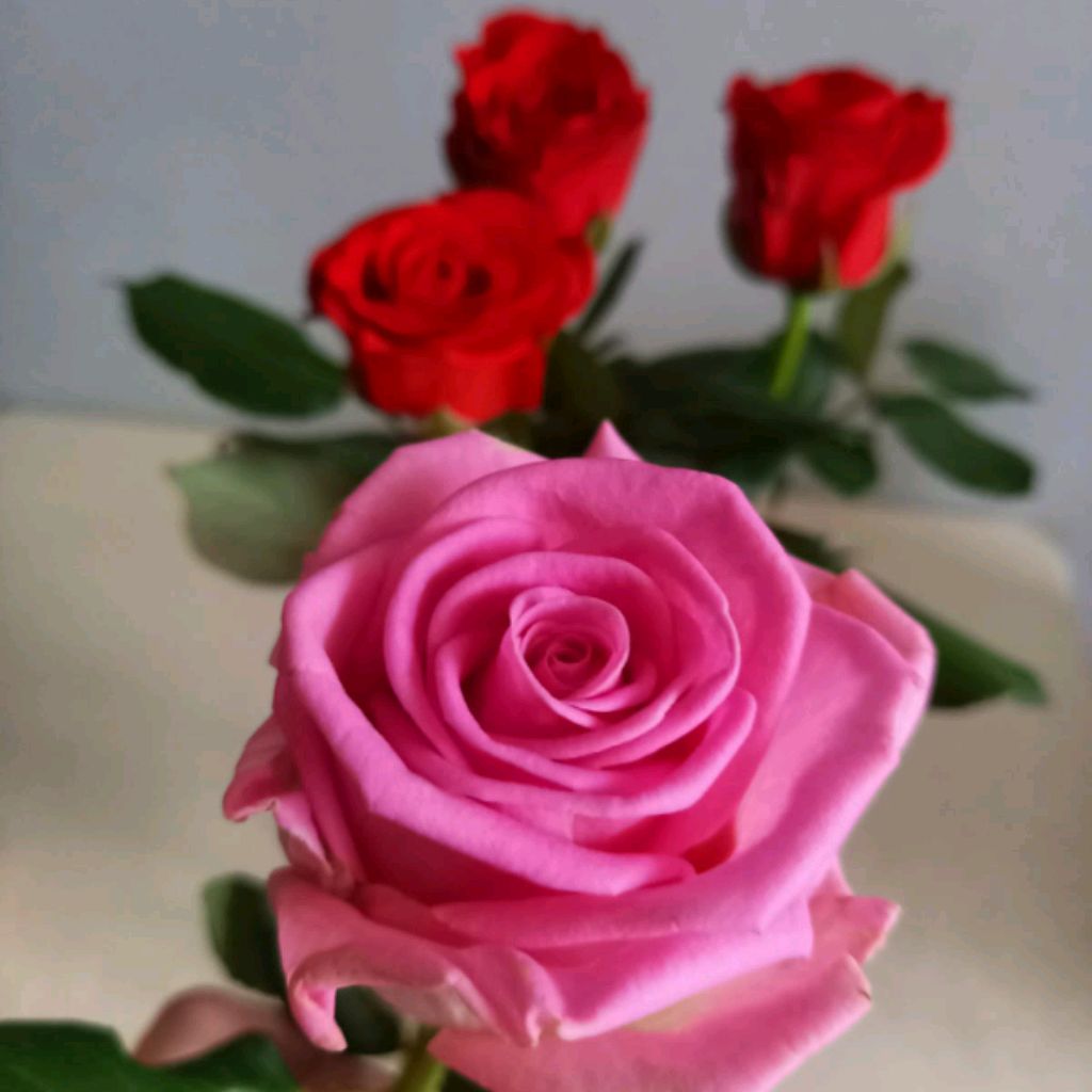 Иконка канала Rita_Mig