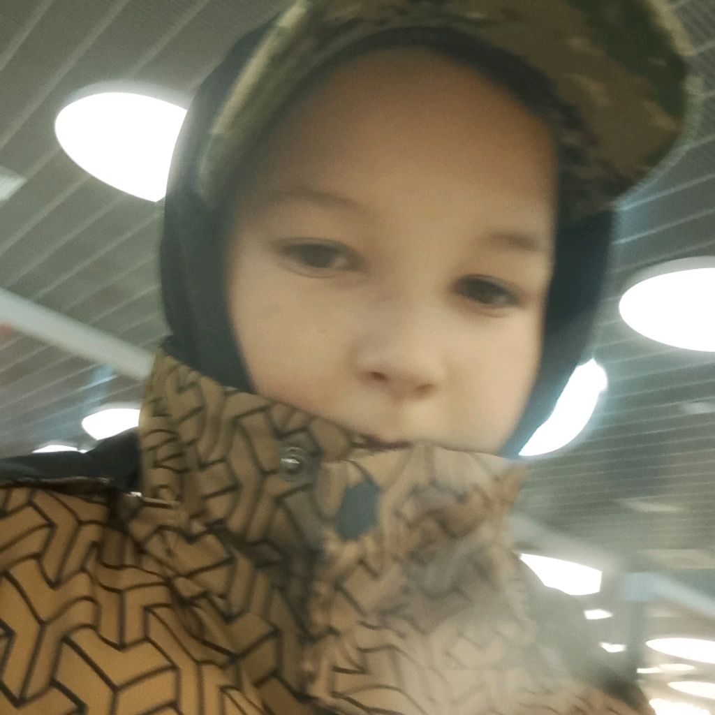 Иконка канала Александр Лев и тигр 🐅