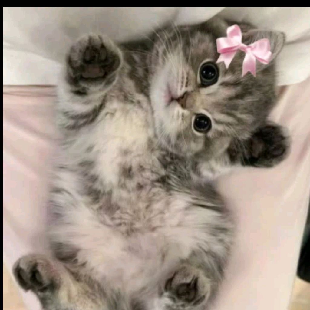 Иконка канала channel73177243