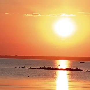 Иконка канала DanechkaNoobasik