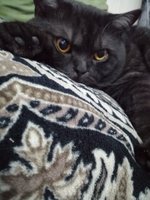 Иконка канала Михалыч