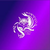 Иконка канала Социально-психологический центр «Крыло Совы»