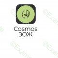 Иконка канала Cosmos ЗОЖ🌿