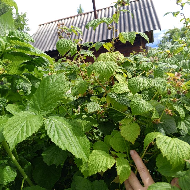 Иконка канала Обзоры Местности Урал