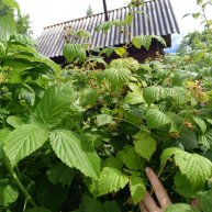 Иконка канала Обзоры Местности Урал