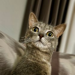 Иконка канала Андрей Андреич