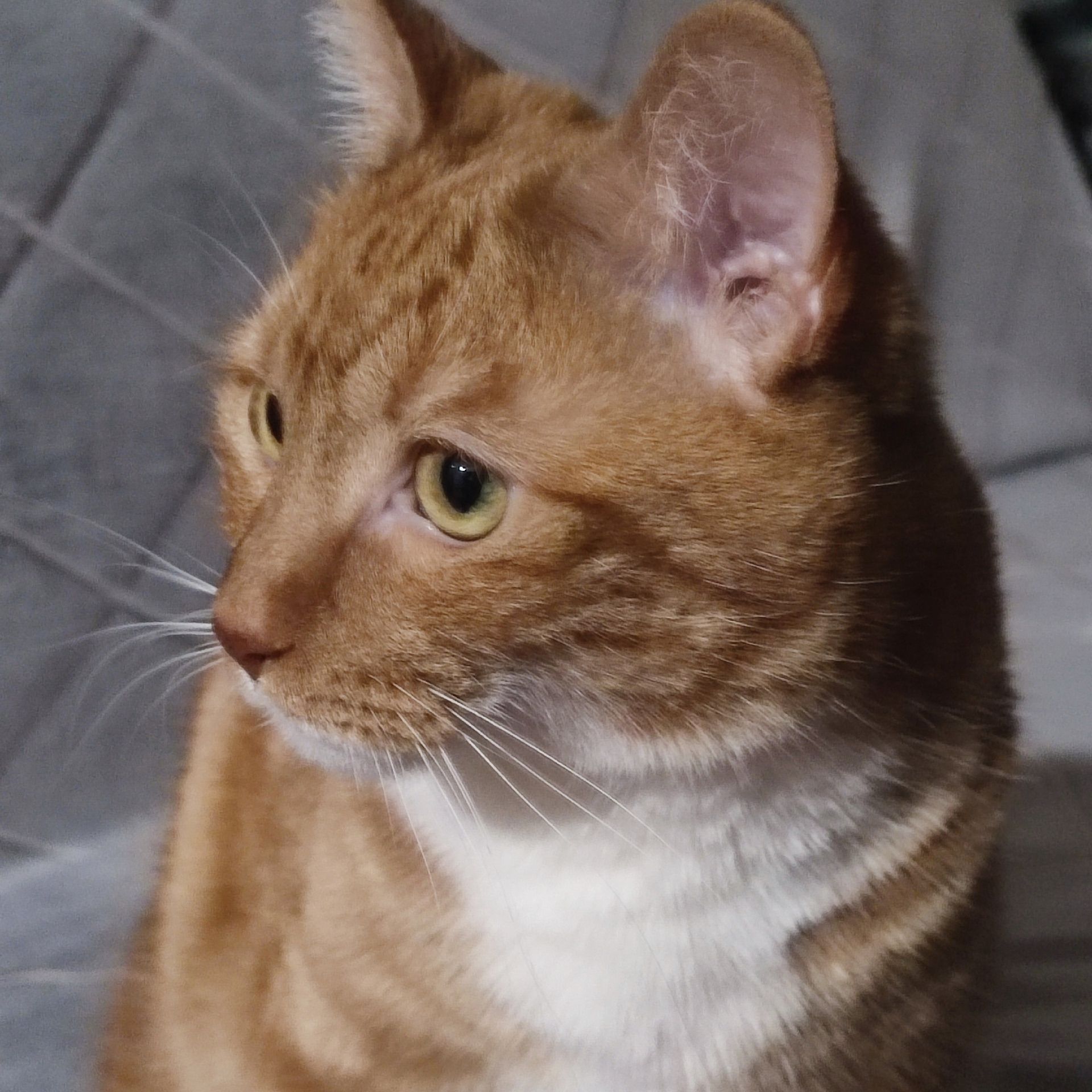 Иконка канала Made in Russia