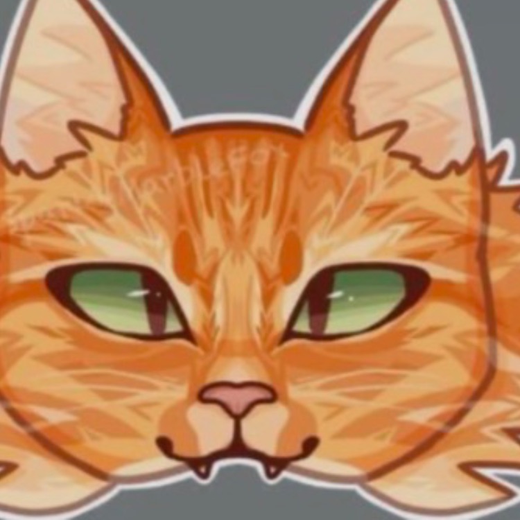 Иконка канала Дина Dragon квд