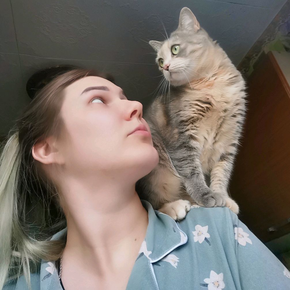 Иконка канала Елизавета в стране современных домохозяек