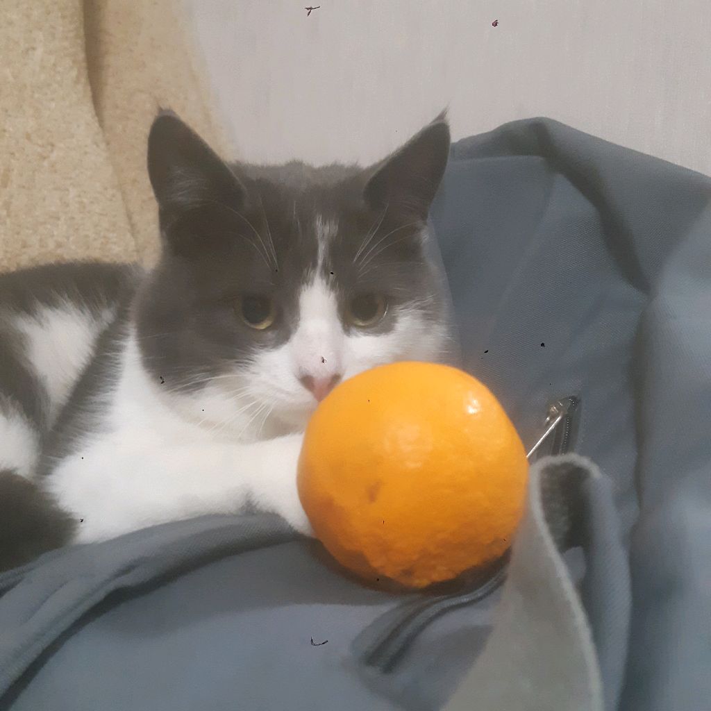 Иконка канала °☆Danil play 12k☆°