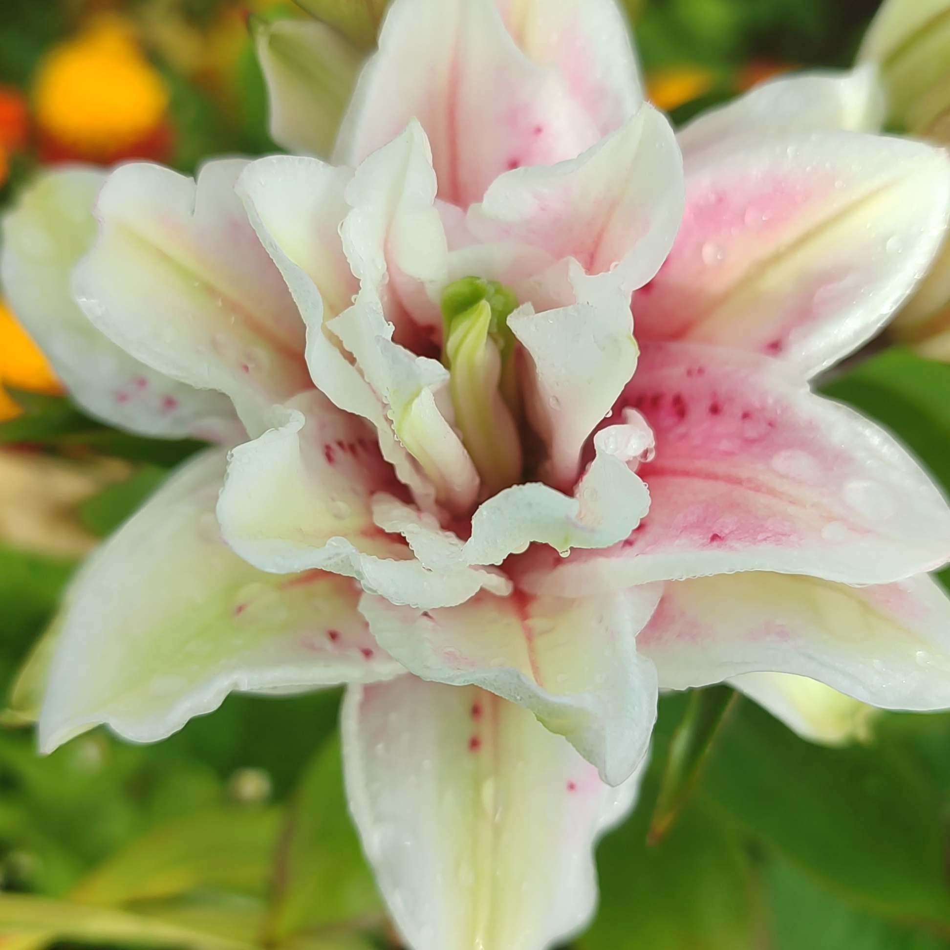 Иконка канала Oksana🌺