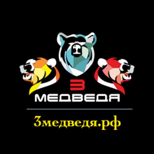 Иконка канала medvedi2024
