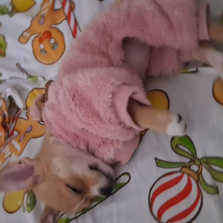 Иконка канала ...