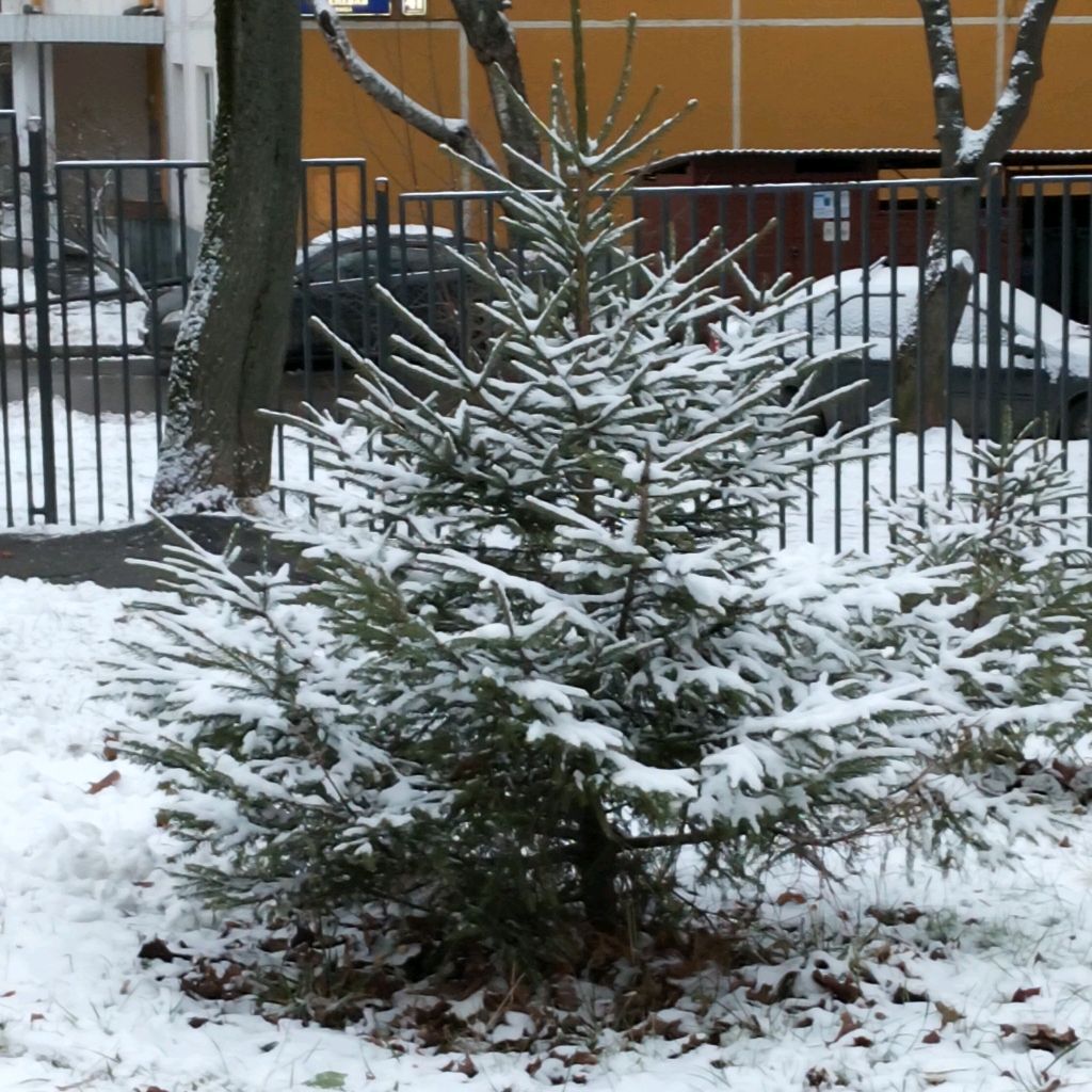 Иконка канала Мисс пчёлка, Майя ❤️