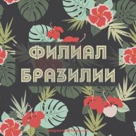 Иконка канала Филиал Бразилии