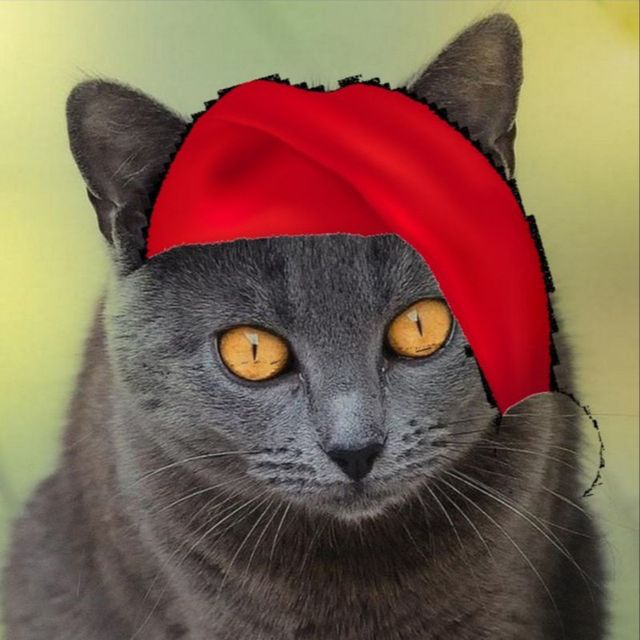 Иконка канала кот