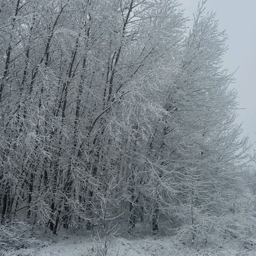 Иконка канала Артëм
