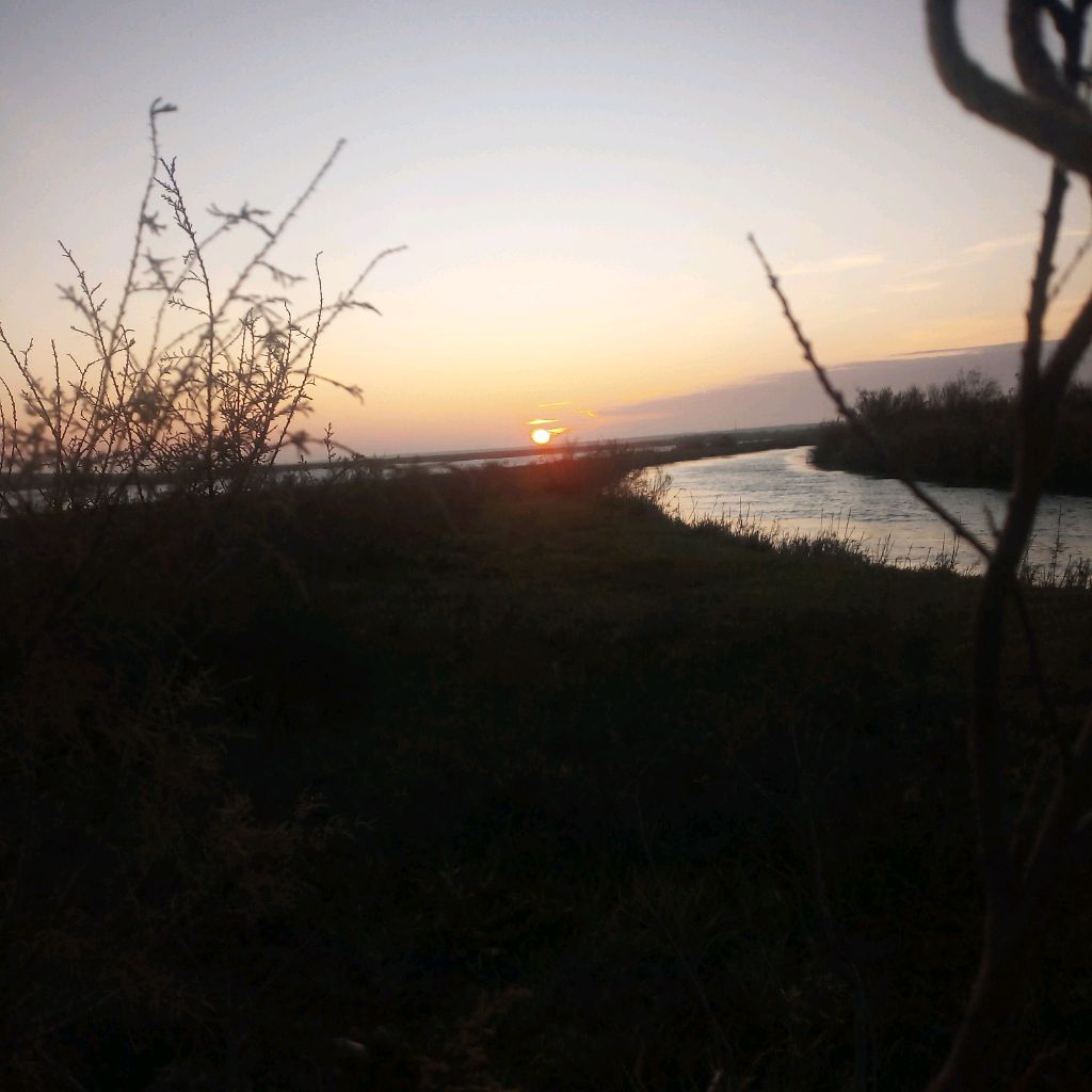 Иконка канала Друг Степей